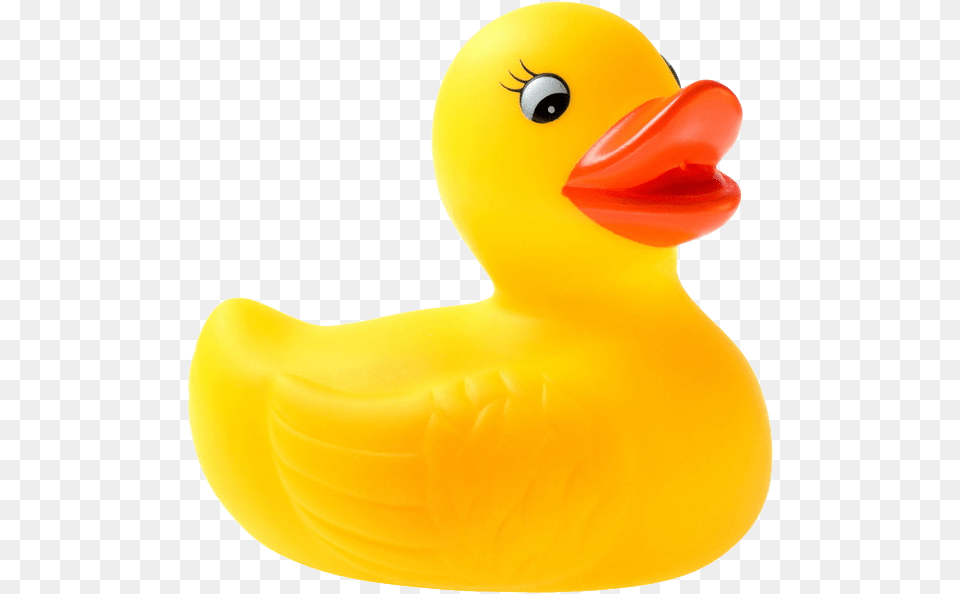 Yellow Duck Rubber Duck, Animal, Bird, Beak, Toy Png