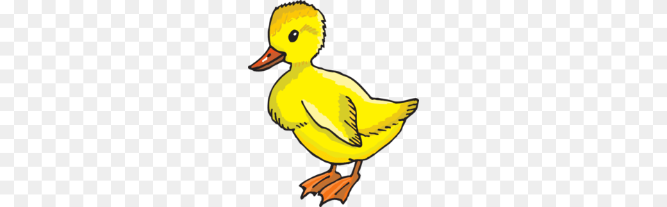 Yellow Duckling Clip Art, Animal, Beak, Bird, Duck Png Image