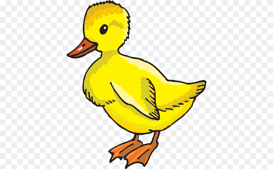 Yellow Duckling Clipart, Animal, Bird, Duck, Beak Png Image