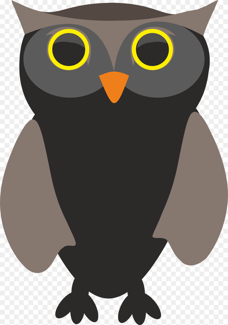 Yellow Eyed Owl Clipart, Animal, Bird, Person, Penguin Png