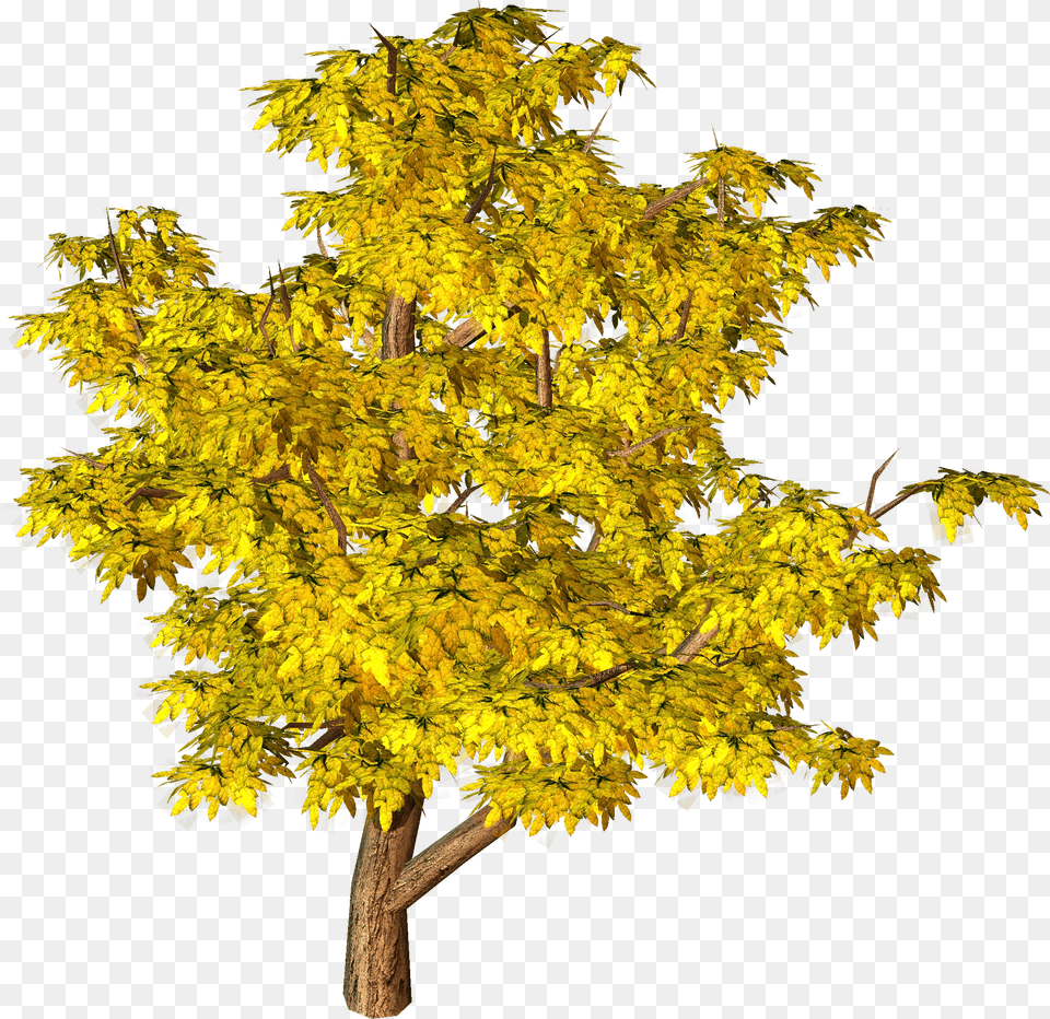 Yellow Fall Tree Clipart Yellow Tree Png Image