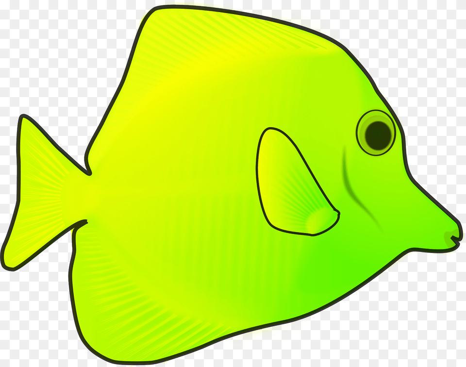 Yellow Fish Clipart, Animal, Sea Life, Angelfish, Surgeonfish Png Image