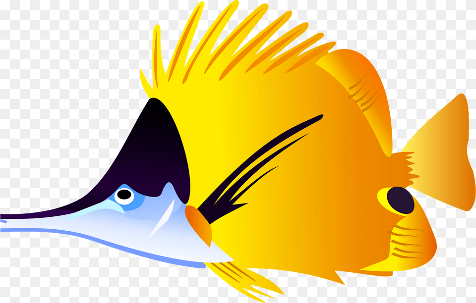 Yellow Fish Clipart, Animal, Sea Life, Angelfish, Rock Beauty Free Transparent Png