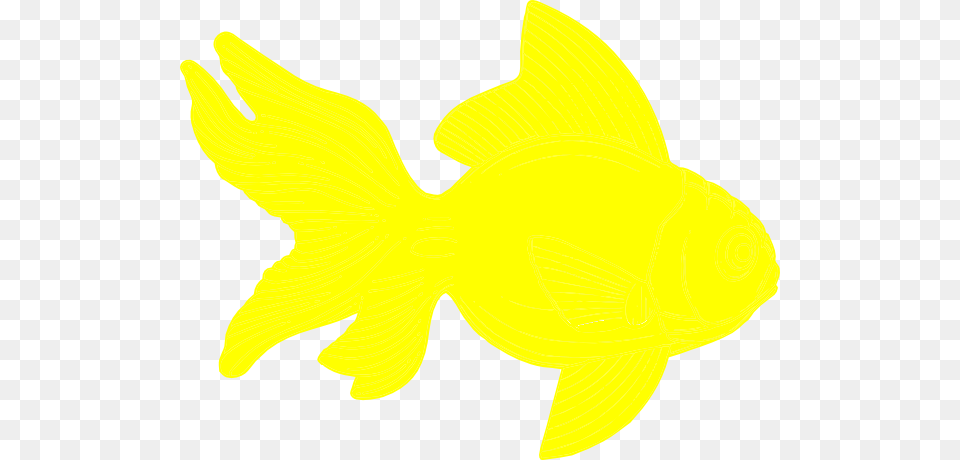 Yellow Fish Clipart Clip Art, Daffodil, Flower, Plant, Animal Free Transparent Png