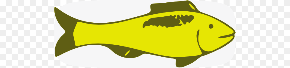 Yellow Fish Clipart Yellow Fish Clip Art, Animal, Sea Life, Shark, Carp Free Png Download