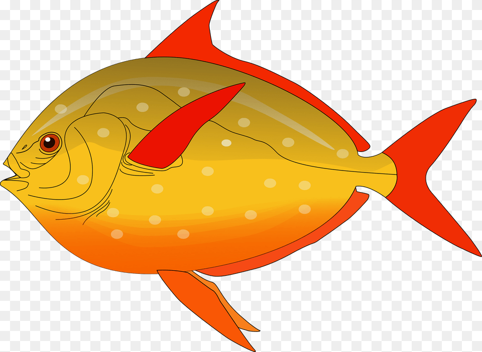 Yellow Fish With Red Fins And Tail Clipart, Animal, Sea Life, Shark, Tuna Png