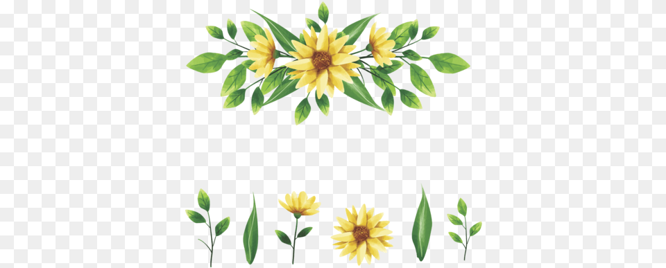 Yellow Floral Arrangement Wreath And Leaf Style Watercolor Manchas De Acuarela Amarilla, Daisy, Flower, Petal, Plant Png Image