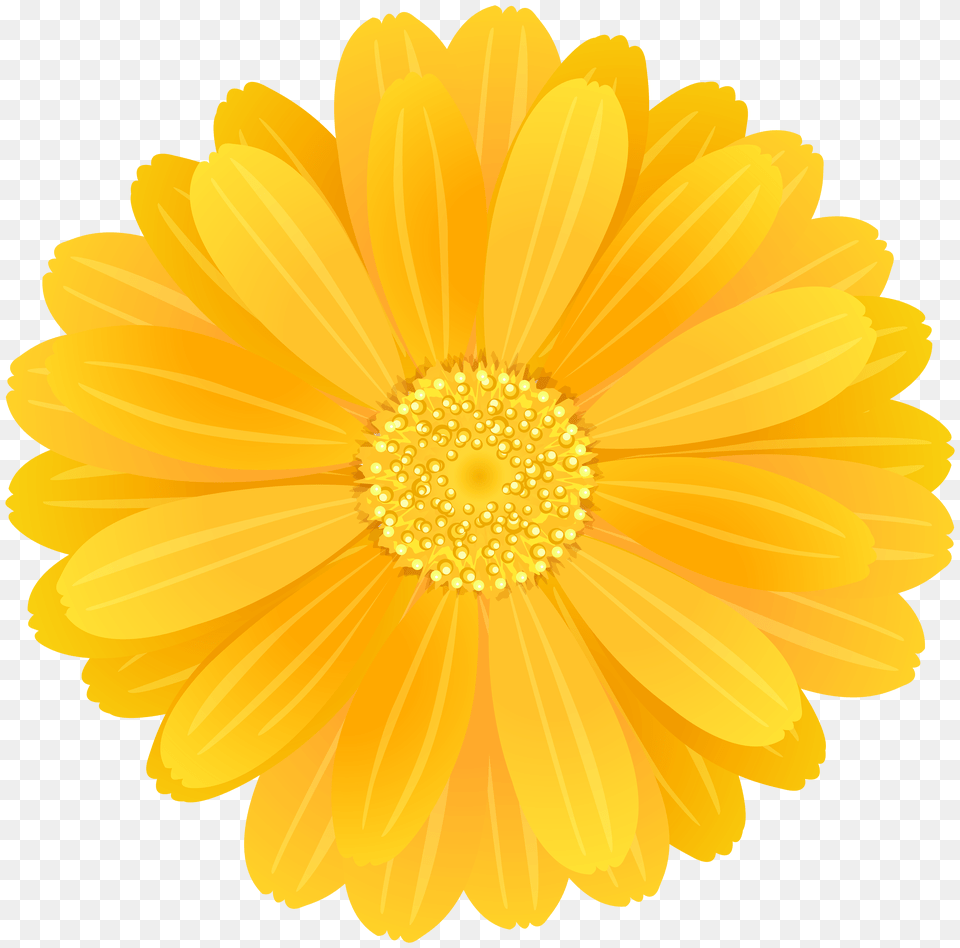 Yellow Flower Free Transparent Png