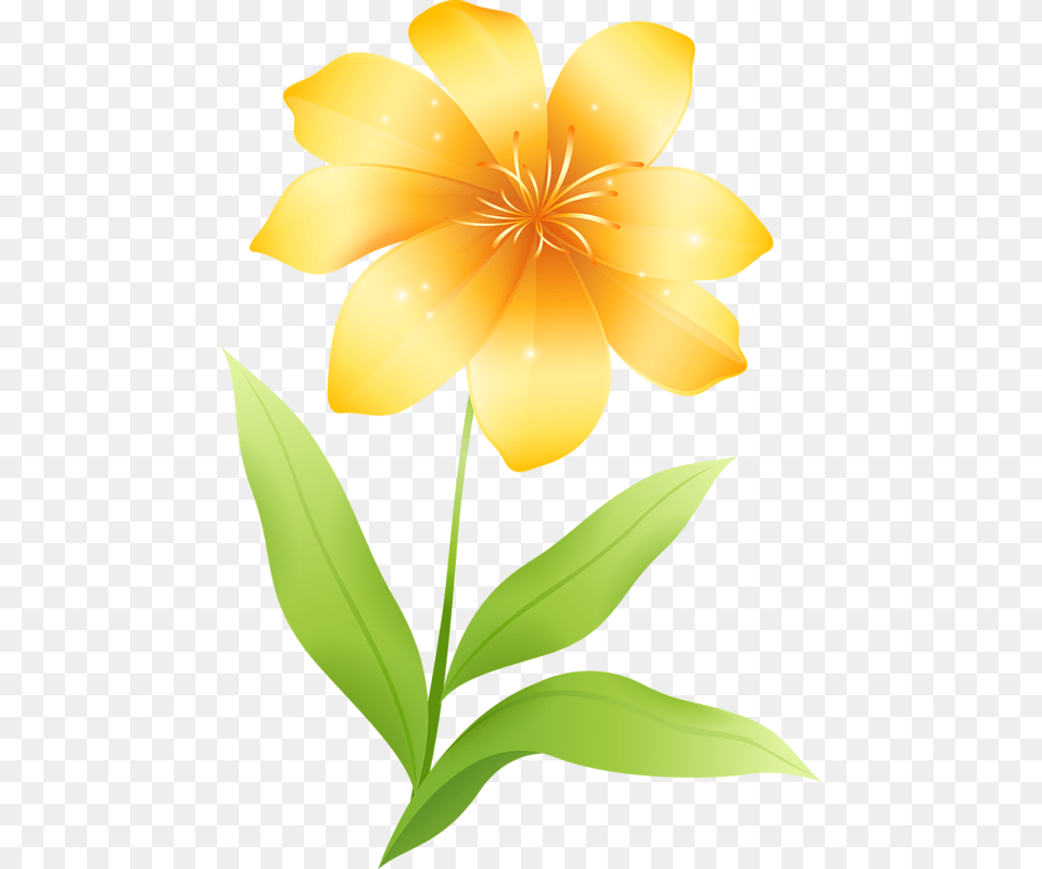 Yellow Flower, Plant, Anther, Lily, Leaf Png Image