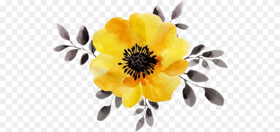 Yellow Flower Aesthetic Yellowaesthetic Yellow Flower, Anemone, Anther, Petal, Plant Free Png Download