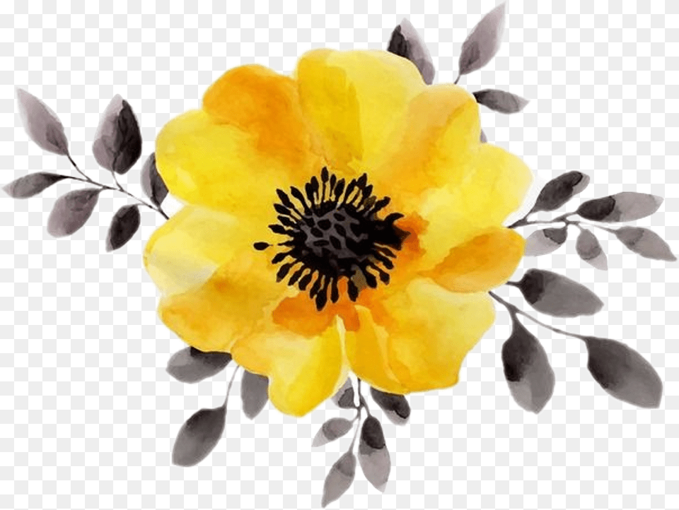 Yellow Flower Aesthetic Yellowaesthetic Yellow Watercolor Flowers, Anemone, Plant, Petal, Anther Free Png