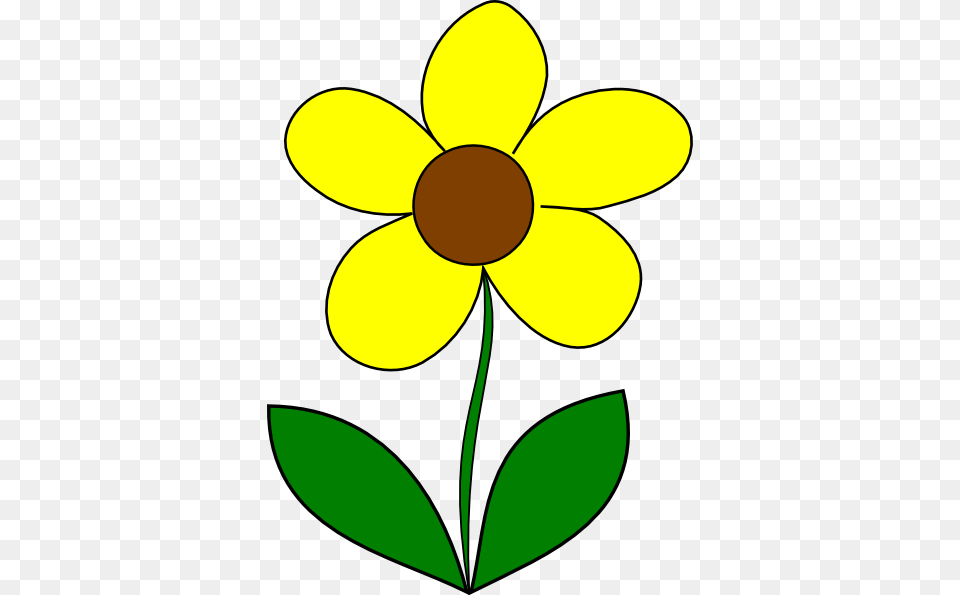 Yellow Flower Clip Art, Anemone, Daisy, Petal, Plant Png