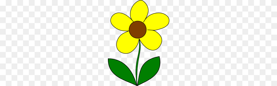Yellow Flower Clip Art, Plant, Daisy, Petal, Anemone Free Png