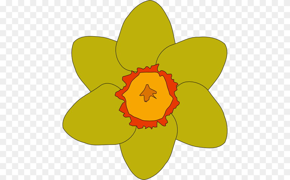 Yellow Flower Clip Art, Daffodil, Plant, Animal, Fish Free Png