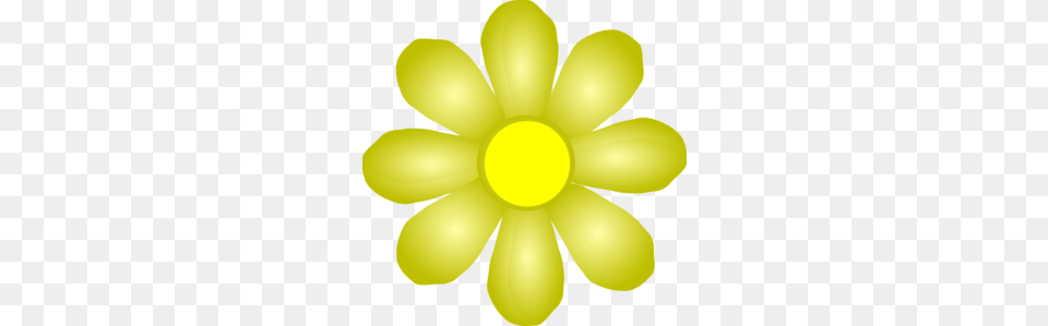 Yellow Flower Clip Art, Anemone, Daisy, Petal, Plant Png Image