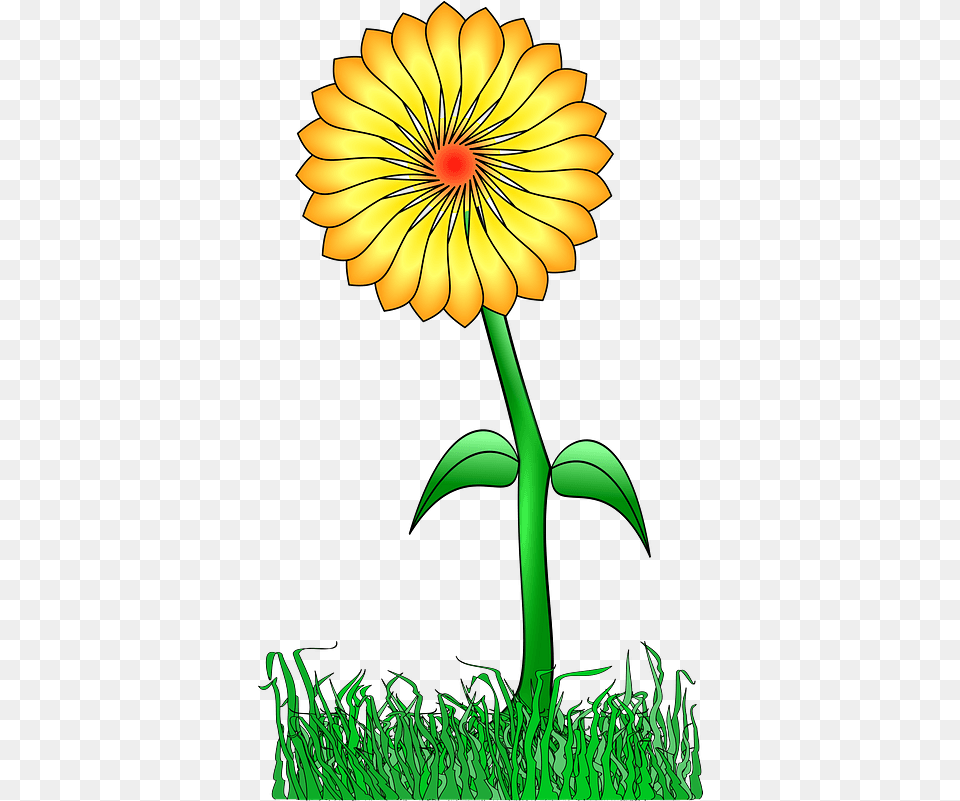 Yellow Flower Clip Art, Daisy, Petal, Plant, Chandelier Free Png