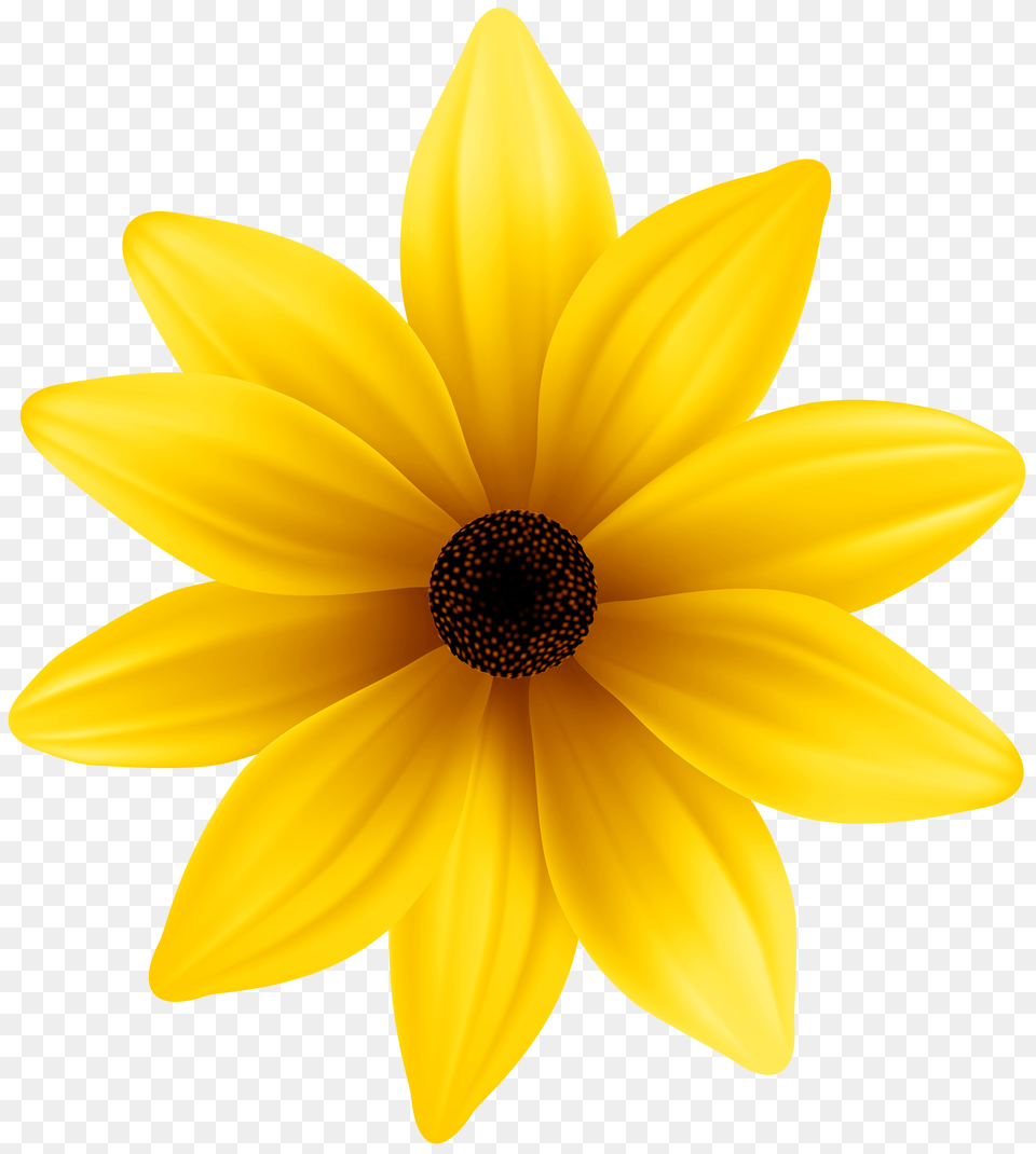 Yellow Flower Clip Art, Clothing, Shoe, Footwear, Adult Free Png Download