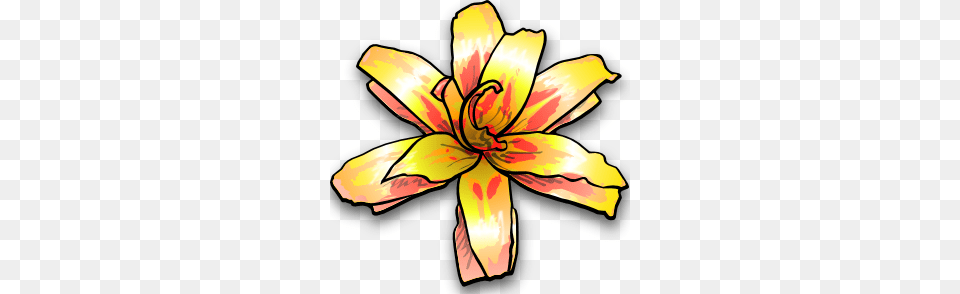 Yellow Flower Clip Art Plant, Lily, Petal, Person Free Png