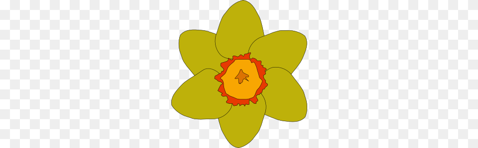 Yellow Flower Clip Art Vector, Daffodil, Plant Free Png Download