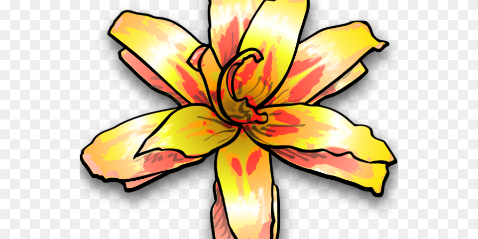 Yellow Flower Clipart, Lily, Plant, Person, Petal Png Image