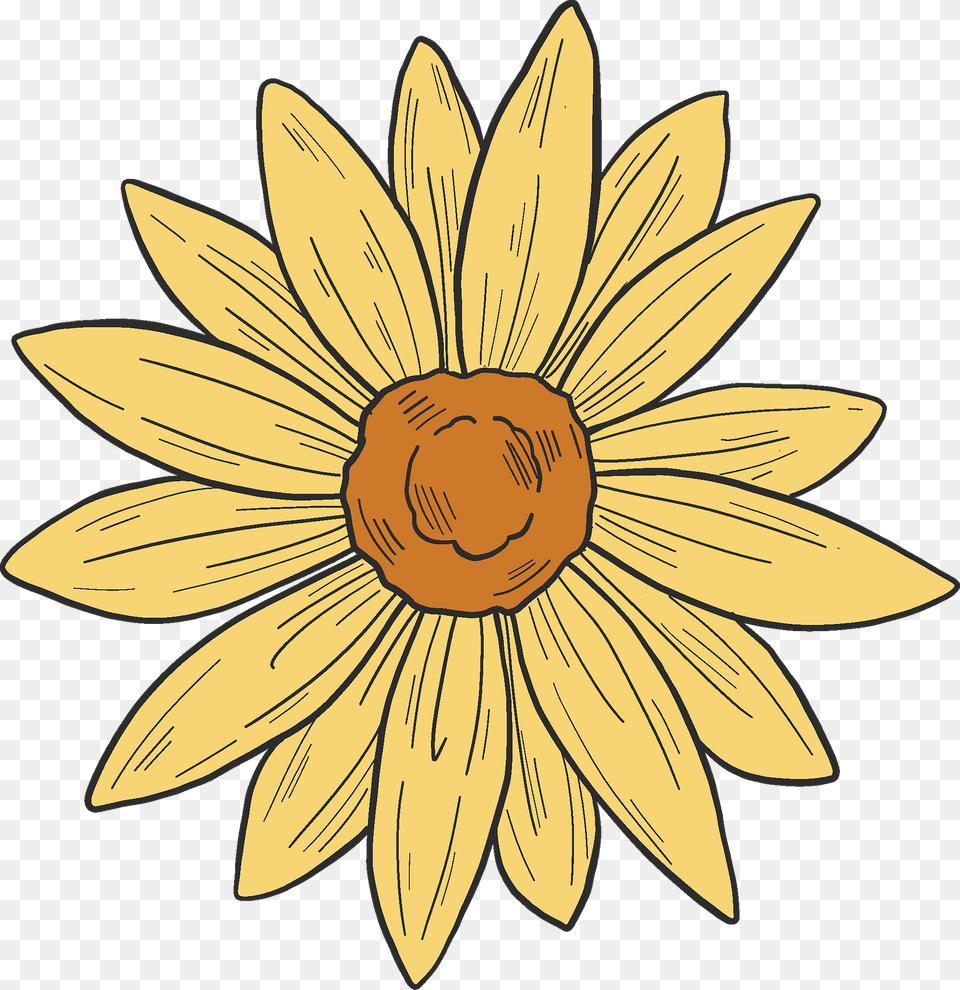 Yellow Flower Clipart, Daisy, Plant, Sunflower, Animal Png Image
