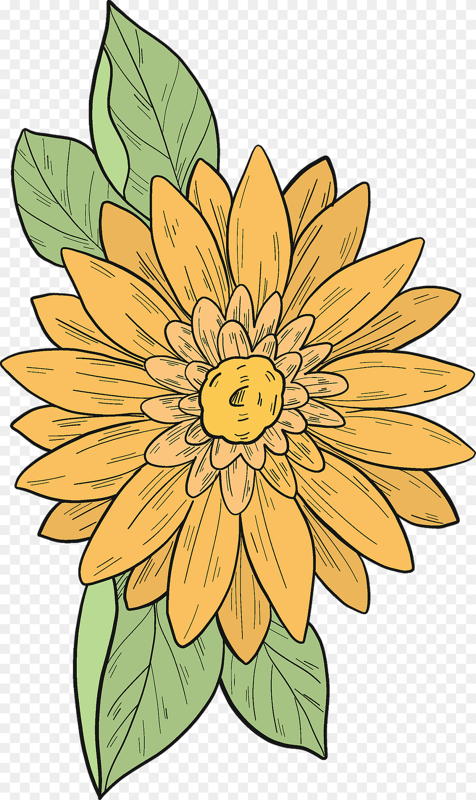 Yellow Flower Clipart, Dahlia, Plant, Sunflower, Daisy Free Png Download