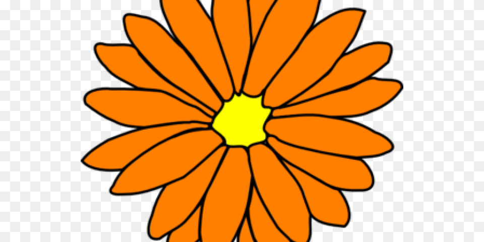 Yellow Flower Clipart Big Flower, Daisy, Petal, Plant, Animal Free Png Download
