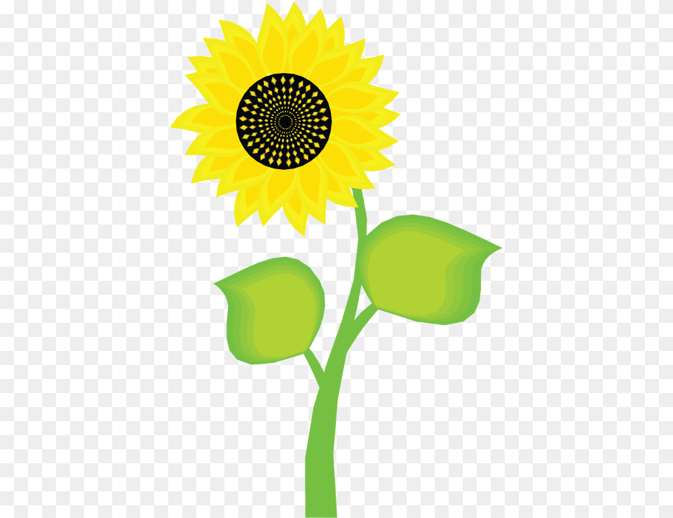 Yellow Flower Clipart Bunga Matahari, Plant, Sunflower Free Png
