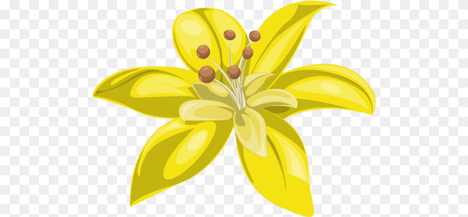 Yellow Flower Clipart Flower Clipart Yellow, Anther, Plant, Lily, Petal Png