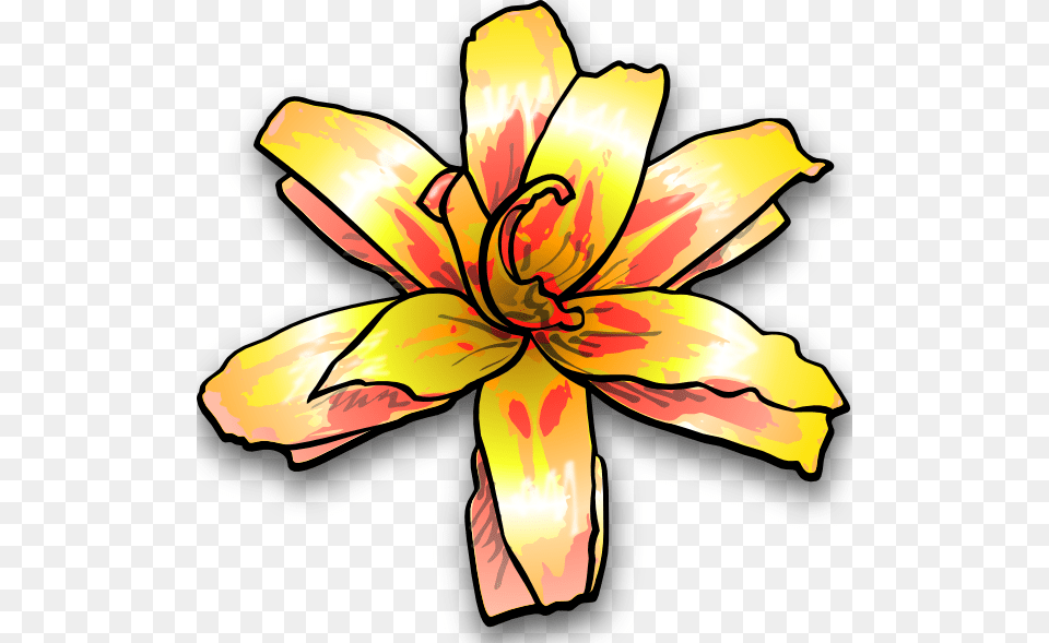 Yellow Flower Clipart Flower Drawing, Plant, Lily, Petal, Person Free Png