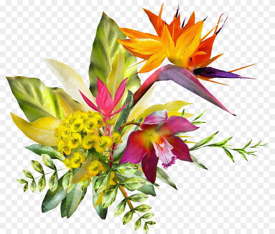 Yellow Flower Clipart Hawaii Flower Watercolor, Art, Floral Design, Flower Arrangement, Flower Bouquet Free Png