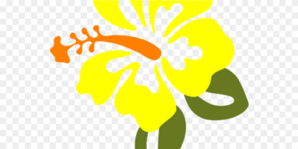 Yellow Flower Clipart Orange Yellow Hibiscus Clipart, Plant, Person, Face, Head Free Transparent Png