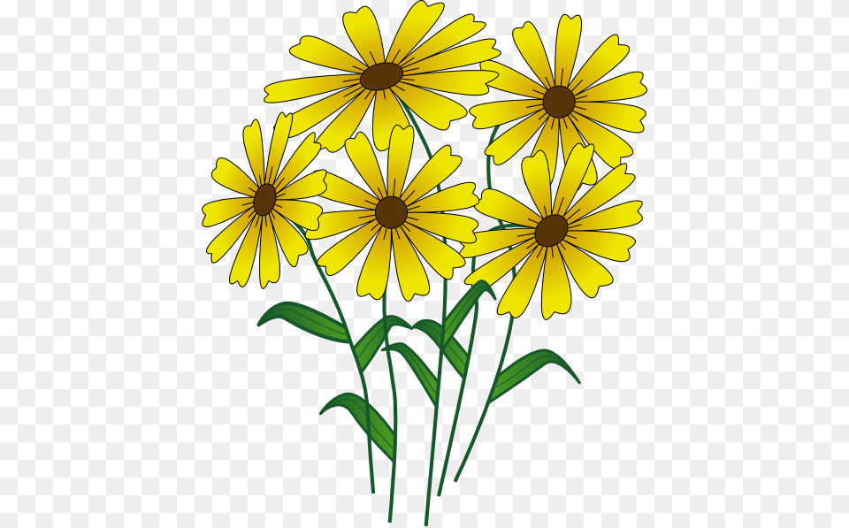 Yellow Flower Clipart Small Plant, Daisy, Petal Png