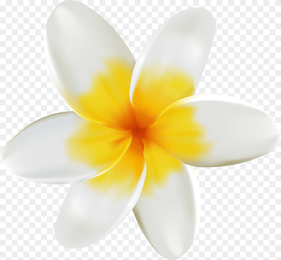 Yellow Flower Clipart Tropical Clip Art, Petal, Plant, Daffodil, Daisy Png Image