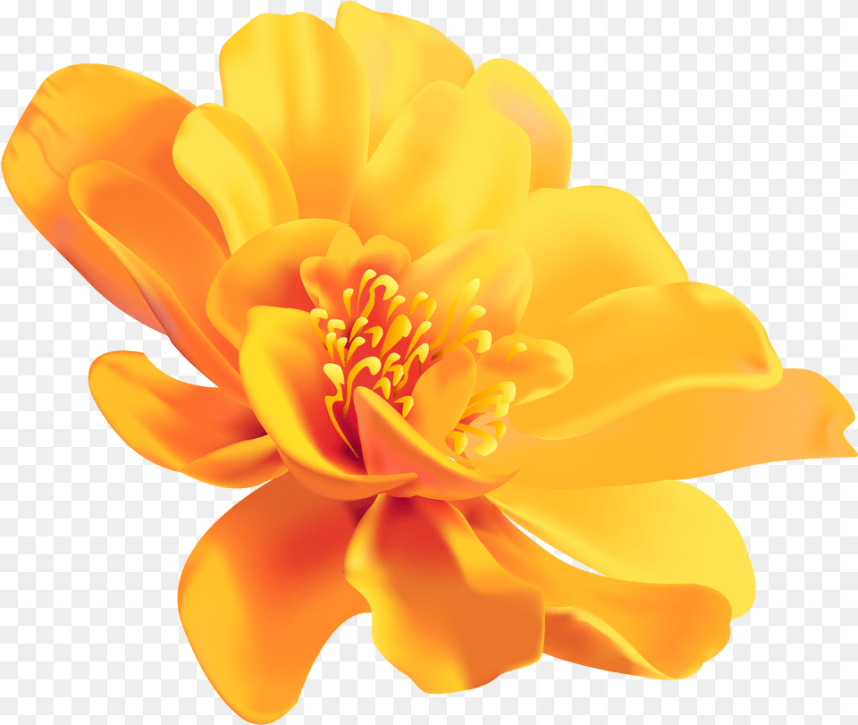 Yellow Flower Color Image Portable Network Graphics Yellow Flower Transparent Background, Anther, Petal, Plant, Pollen Free Png Download