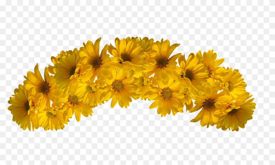 Yellow Flower Crown Yellow Flower Crown, Daisy, Petal, Plant, Flower Arrangement Free Transparent Png