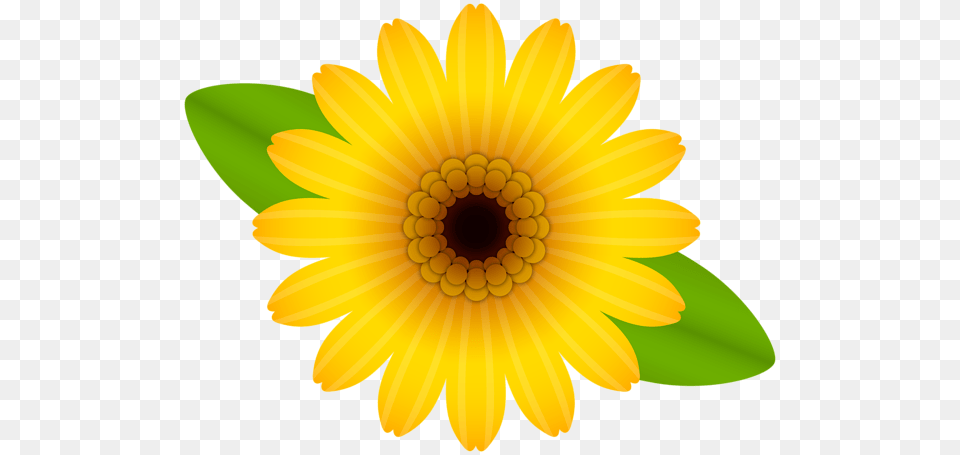 Yellow Flower Decorative Transparent, Daisy, Petal, Plant, Sunflower Png Image