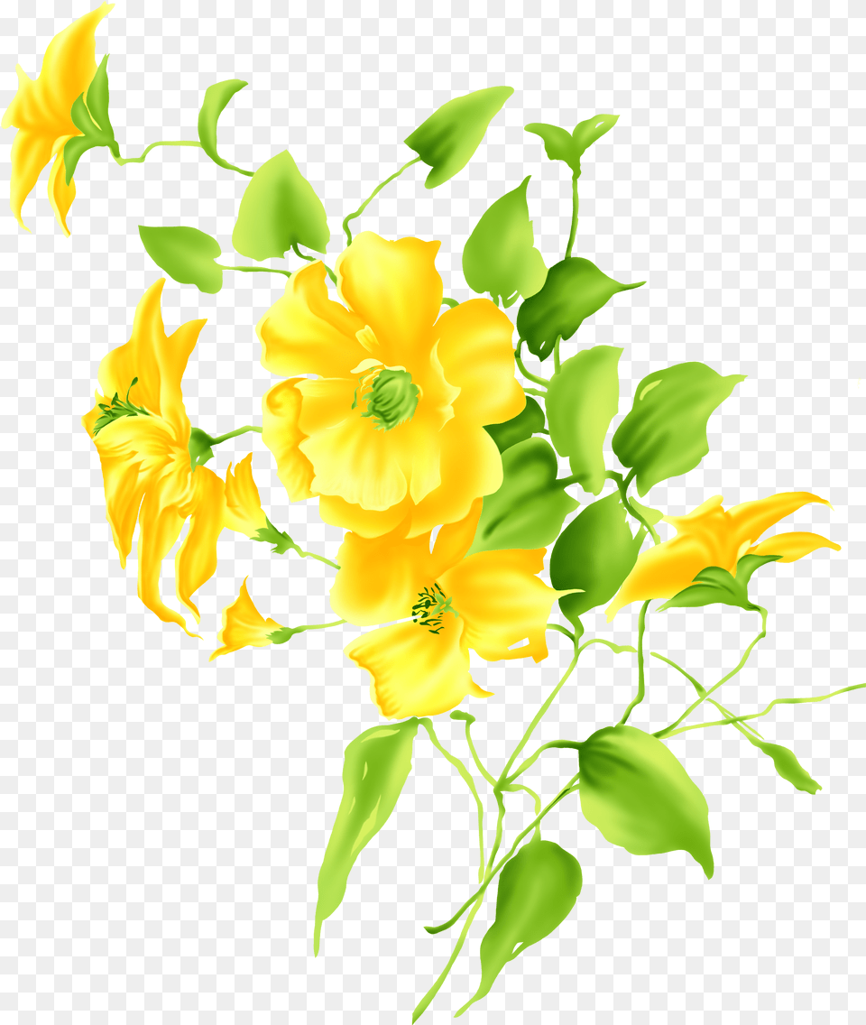 Yellow Flower Drawing Clip Art Yellow Flower Drawing, Floral Design, Graphics, Pattern, Plant Png Image