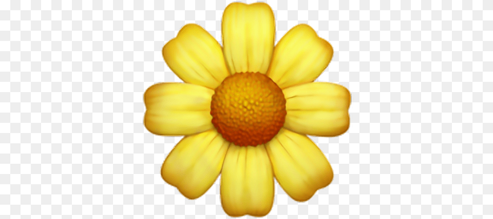 Yellow Flower Emoji Yellow Flower Emoji, Daisy, Petal, Plant, Anemone Free Png