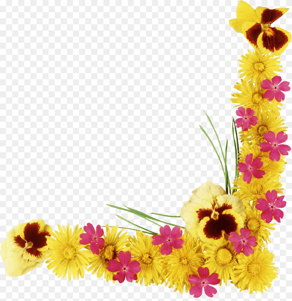 Yellow Flower Frame Clipart Download Flower Frame Hd, Plant, Pattern, Graphics, Flower Arrangement Free Transparent Png