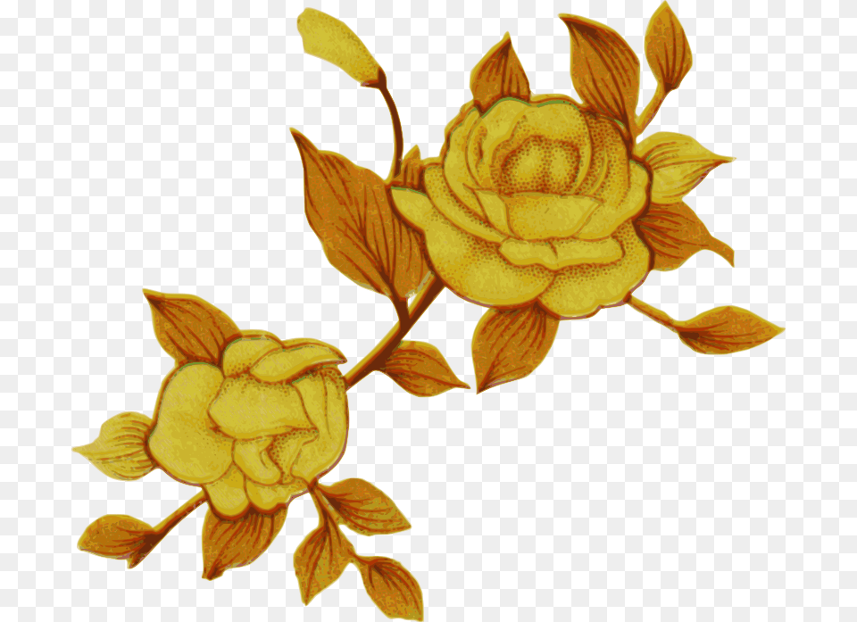 Yellow Flower Gif, Plant, Pattern, Petal, Daffodil Png Image