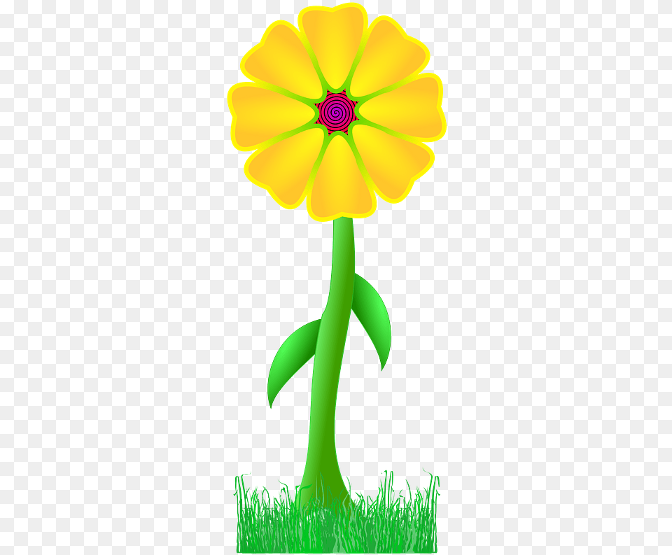 Yellow Flower Happy, Daisy, Petal, Plant, Cross Free Transparent Png