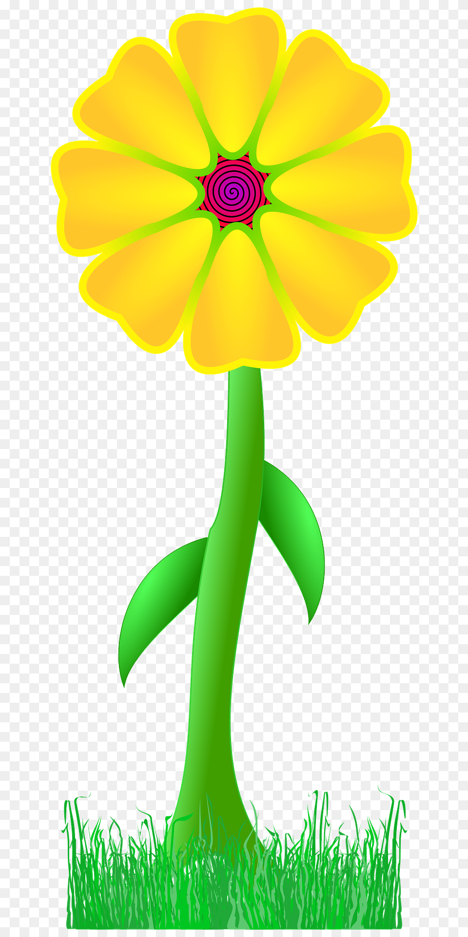 Yellow Flower On The Stem Outside Clipart, Daisy, Petal, Plant, Dynamite Png