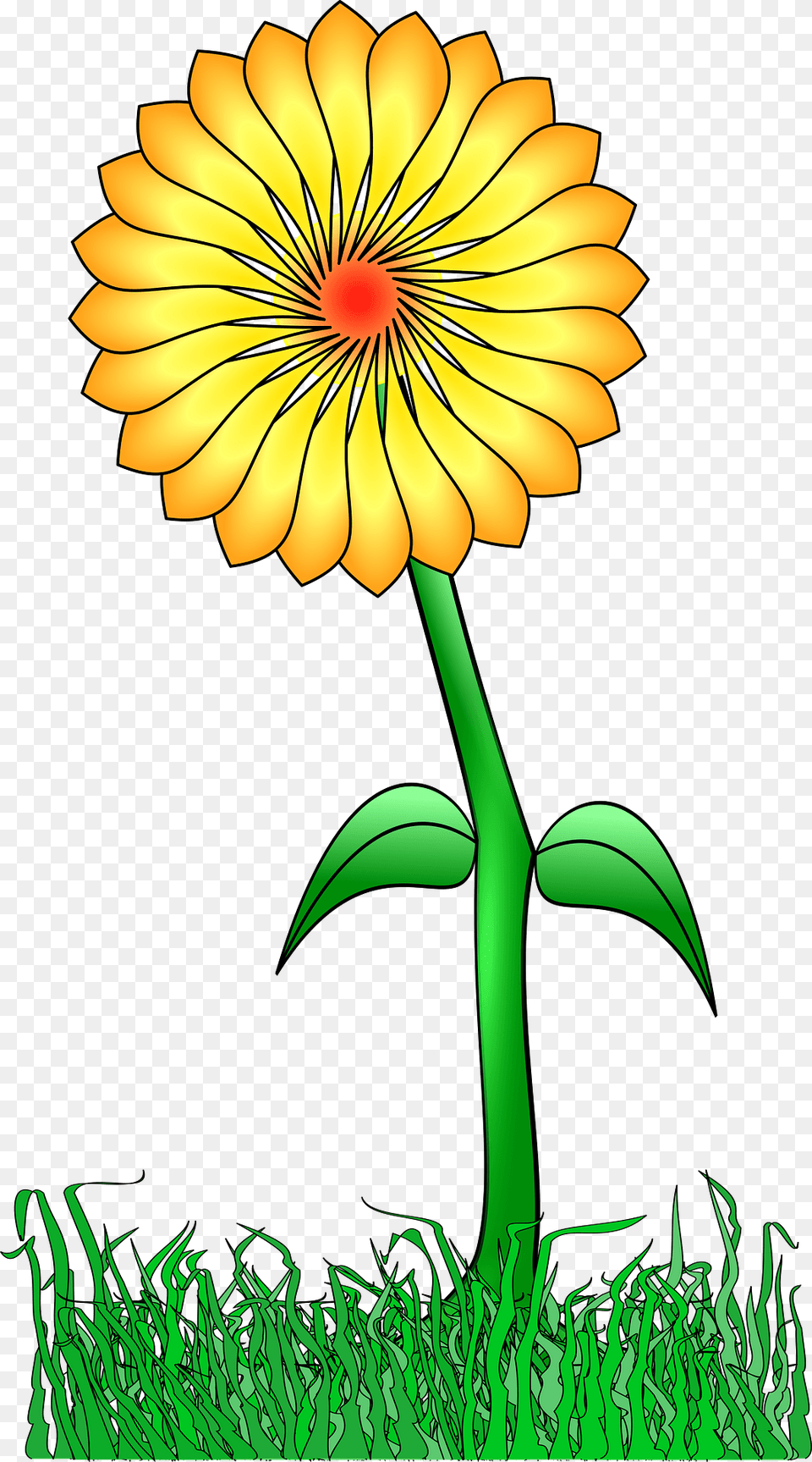 Yellow Flower On The Stem Outside Clipart, Daisy, Petal, Plant, Sunflower Png Image