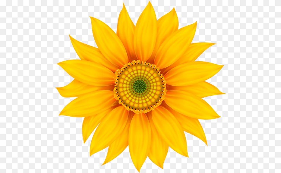 Yellow Flower Transparent Clip Art Sunflower Wall Stickers, Plant, Daisy Free Png