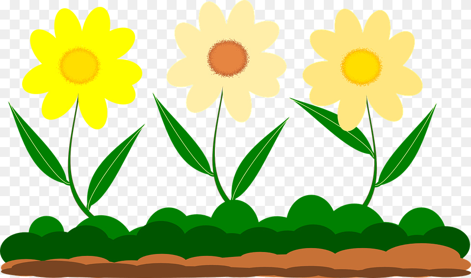 Yellow Flower Vector Image Garden Gambar Rumput Dan Bunga Kartun, Daisy, Plant, Petal, Daffodil Free Png Download