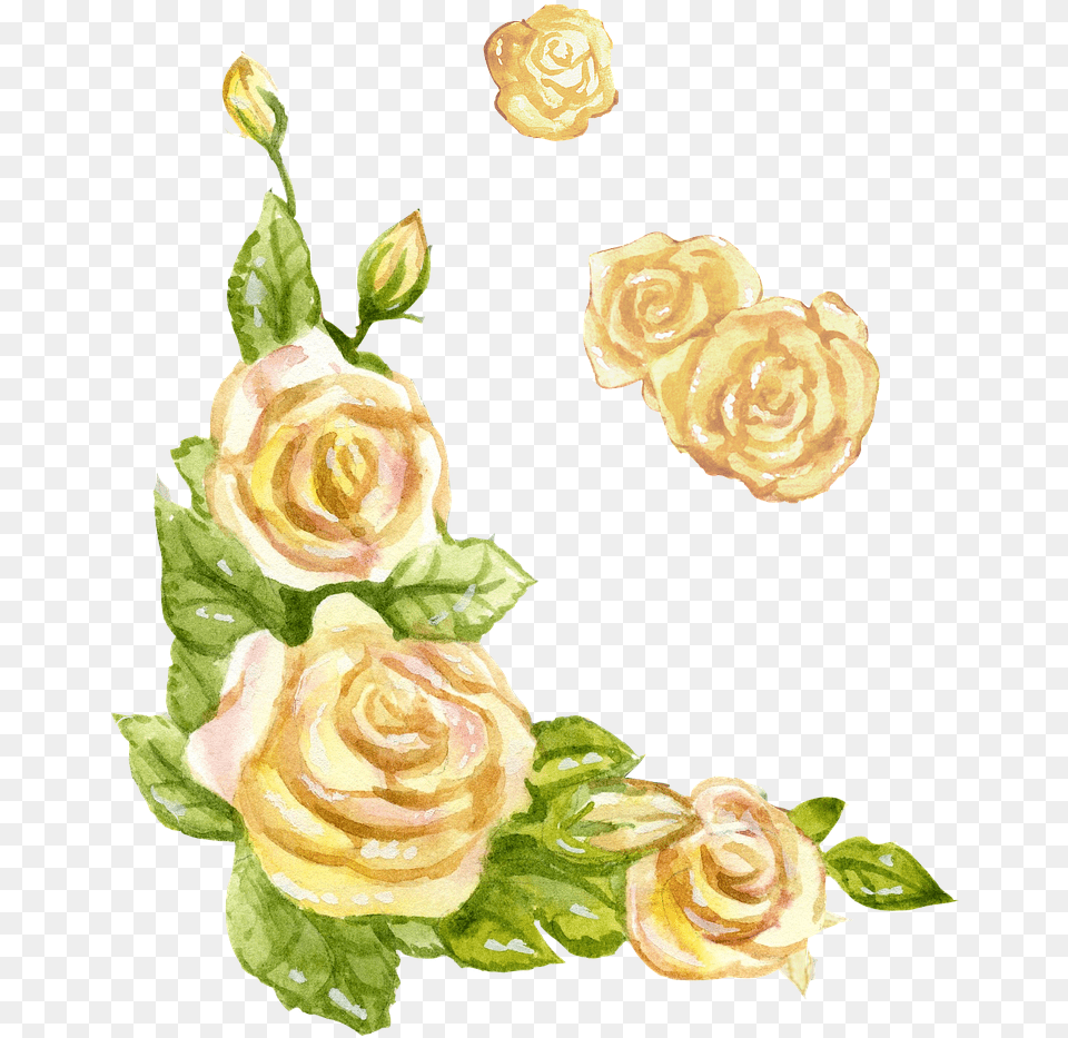 Yellow Flower Watercolor Rose, Plant, Pattern, Art Free Transparent Png