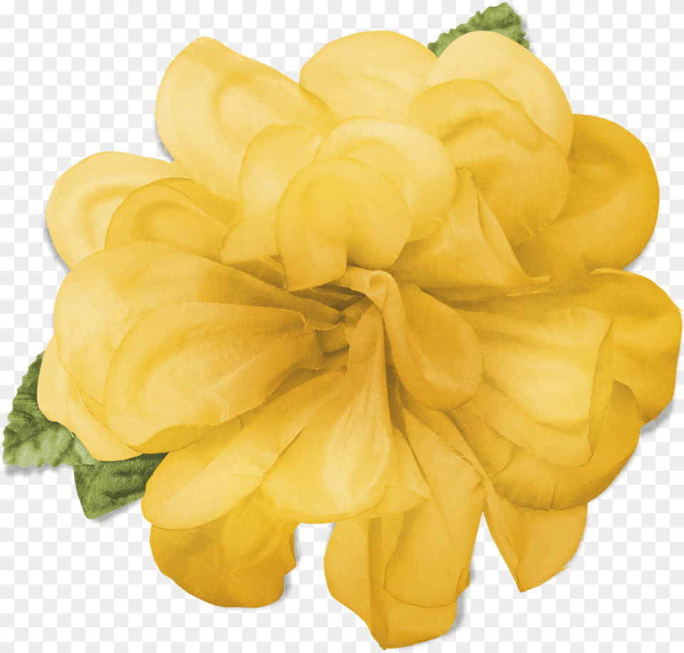Yellow Flower Yellow Flower Crown Transparent, Dahlia, Petal, Plant, Rose Png