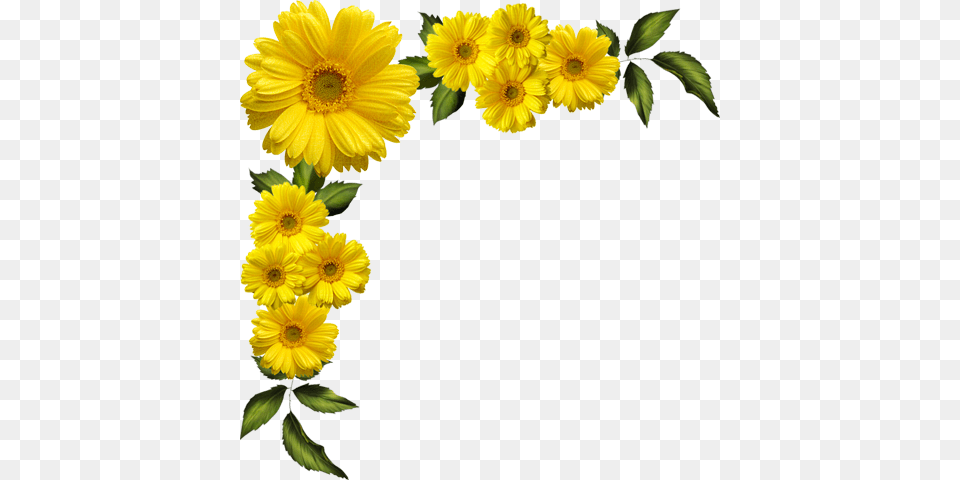 Yellow Flowers Border Yellow Flowers Corner, Daisy, Flower, Petal, Plant Free Png