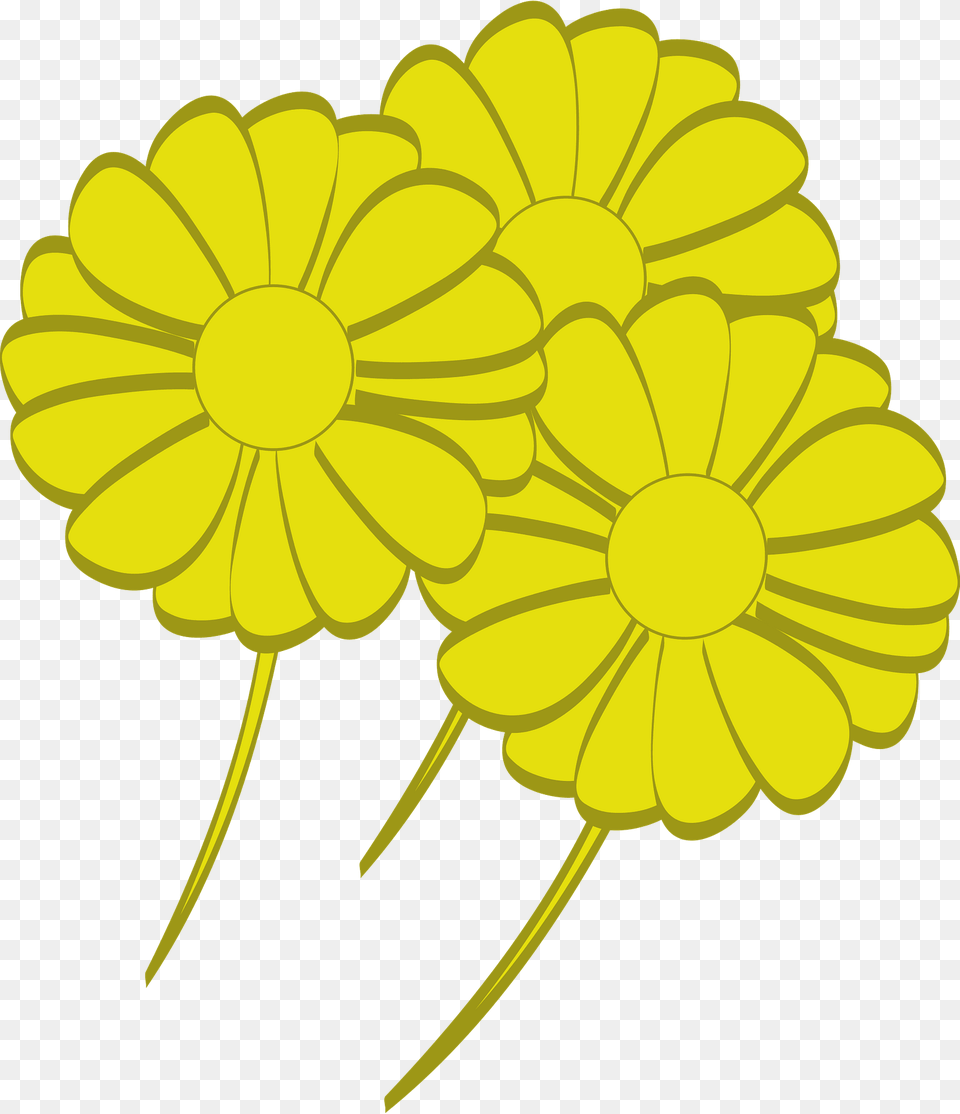 Yellow Flowers Clipart, Daisy, Flower, Petal, Plant Png